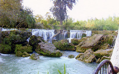 picture